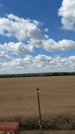 Low-flying planes over golden fields and power lines in rural Czechia