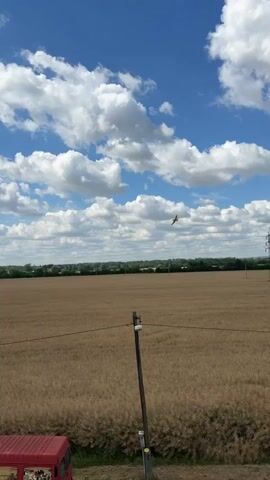 A small, yellow airplane flies across a blue sky filled with white, puffy clouds. Below the plane, there is a golden field and a line of green trees. A wooden pole with wires runs across the foreground of the video.