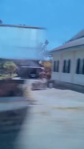 The video shows a blurred, fast-moving view of a tropical village or town. The initial scene is a light-colored building with arched doorways and columns, possibly a mosque or a government building. The camera then pans across a street lined with houses, some with green or blue walls, and surrounded by palm trees and other lush vegetation. The sky is bright blue, suggesting a sunny day. The motion blur indicates the video was likely taken from a moving vehicle. There are no people or direct interactions visible.