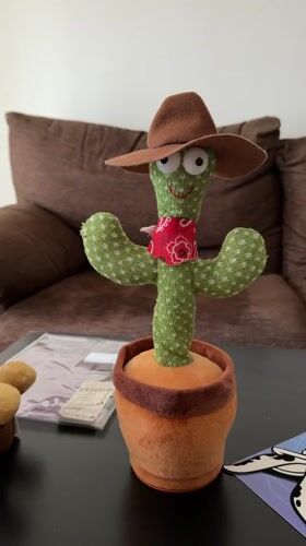 LED cactus toy with cowboy hat spotted in Valencia