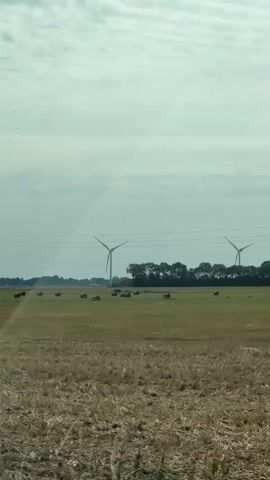 The video shows a view from inside a car driving through a rural landscape. In the foreground, there is a harvested wheat field with some tall, dry grass. In the middle ground, there is a large field with round hay bales scattered across it. Two wind turbines are visible in the distance. To the right, there is a line of trees. The sky is partly cloudy with the sun visible. The camera then shifts to show the sky through the car's sunroof, revealing a blue sky with fluffy white clouds. The car appears to be moving on a road bordered by vegetation. The audio consists of a single voice speaking in French.