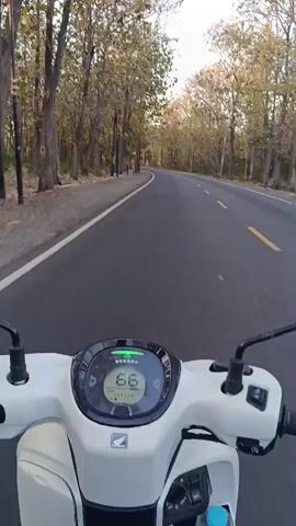 The video is a first-person perspective of someone riding a white scooter on a paved road. The road is surrounded by trees. The scooter has a digital dashboard that displays the speed, which starts at 65, then decreases to 62, 58, 56, and finally 53. The rider's left hand is visible on the handlebar, and a mirror shows a reflection of the rider wearing a mask and a black helmet. A water bottle is visible in a compartment on the scooter. The lighting suggests it is either early morning or late afternoon.