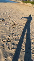 Dog plays on beach with heart drawn in sand