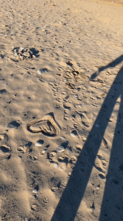 Dog plays on beach with heart drawn in sand