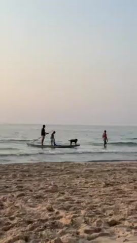 The scene takes place on a sandy beach with a calm sea under a pale sky. In the water, a man uses a paddle to move a stand-up paddleboard towards the shore. On the paddleboard stand a child and a dog. A second man is wading in the water towards the paddleboard.