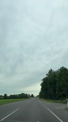 A first-person view from a vehicle driving on a two-lane asphalt road under a cloudy sky. The road has white solid lines on the right edge and a broken white line separating the lanes. On the left side of the road, there are green fields and some trees in the distance. On the right side, there is a dense line of trees. In the distance, there are a few cars on the road. The weather appears overcast.