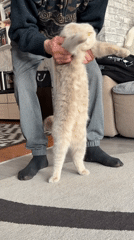 Morning with pets and selfies in Chaikovsky, Russia