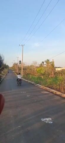 The video opens with a close-up of a person's head and shoulder, partially obscuring the view. The perspective then shifts to a road, appearing to be newly paved, with a single motorcyclist visible in the distance. The road is lined with vegetation and trees, and utility poles with power lines run along the side. The sky is clear and appears to be either early morning or late afternoon, judging by the lighting. The environment suggests a rural or semi-rural setting. The motorcyclist is traveling away from the camera. The video continues to show the road and its surroundings as the camera appears to be moving forward, either by walking or riding. The motorcyclist remains in the distance, also moving forward. The overall impression is a scenic view of a road through a vegetated area.