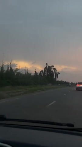 The video captures a view from inside a moving vehicle, driving along a two-lane highway or main road during what appears to be sunset or sunrise. The sky is predominantly overcast with dark grey clouds, but a vibrant golden-orange light breaks through on the horizon, illuminating the undersides of some clouds.

Along the right side of the road, a line of tall, slender palm trees with dense, dark foliage stands silhouetted against the bright sky. Further back, more vegetation and possibly other trees are visible. The ground adjacent to the road appears somewhat uneven and possibly wet or covered in puddles, hinting at recent rain or standing water.

In the distance, a white car with its taillights visible is driving in the same direction. The road itself has clear white lane markings. The bottom of the video frame shows the dashboard and windshield wipers of the vehicle from which the footage is taken.

The scene conveys a sense of travel during the transition from day to night or night to day, with the dramatic sky being a focal point. The location, consistent with Sidi Abdallah Ghiat, Morocco, is characterized by its distinct palm tree landscape and open road. No visible text is present in the video. Background music is audible throughout the clip.
