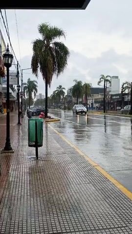 The video shows an outdoor urban street scene under rainy conditions. The perspective is from under the awning of a building. In the foreground, there is a tiled sidewalk with a yellow painted curb and an empty green mesh trash can. The street is wet, reflecting the sky. Several parked cars and moving vehicles are present on the road. The street is lined with palm trees and buildings. The overcast sky suggests an ongoing or recent rain. The overall impression is of a quiet street scene during a rain shower.