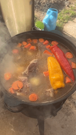 Spring day documented in rural Russia with cooking and flowers