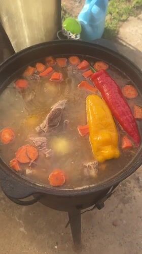 Spring day documented in rural Russia with cooking and flowers