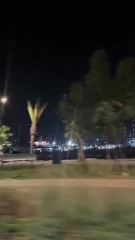 The video shows a nighttime scene from a moving vehicle, likely a car or bus. The camera is looking out a window, and the motion blur indicates movement. In the foreground, blurred green foliage and a sidewalk or road are visible. Beyond that, there are trees, some appearing to be palm trees, and other vegetation. In the background, there are buildings with lights on, suggesting an urban or developed area. There are also streetlights visible. The overall impression is of a city or town at night, seen from a moving perspective. There are no people clearly visible in the footage due to the blur and darkness.
