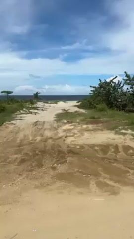 The video shows a sandy road leading to a beach under a partly cloudy sky. The road is muddy in some areas and flanked by green vegetation on either side. In the distance, a small palm tree is visible. The ocean appears calm. There are no people or animals visible in the frame.