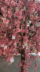 Decorative blossom tree with tied notes observed in Arnavutköy