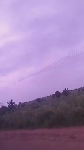 The video shows a landscape scene with a cloudy, purple sky. In the foreground, there is a dirt road. Beyond the road, there is a field with green bushes and scattered trees. Power lines are visible stretching across the sky. The camera appears to be moving, possibly from a vehicle, as the landscape shifts slightly.