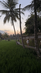 Sunset scenes, kite flying, art-making documented in Ubud