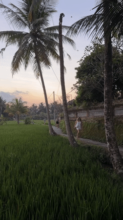 Sunset scenes, kite flying, art-making documented in Ubud