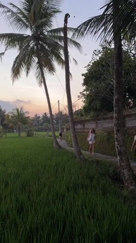 Sunset scenes, kite flying, art-making documented in Ubud