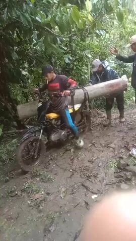 Two men are transporting a log on a motorcycle through a muddy, wooded area. The motorcycle is yellow and black, and the log is strapped to the back. One man is driving the motorcycle, and the other is helping to push it. The driver is wearing a black and red shirt, blue pants, and a baseball cap, and appears to be smoking. The second man is wearing a raincoat and boots. The motorcycle struggles through the mud, leaving deep tire tracks. The terrain transitions to grass as the man drives by a house and some other parked motorcycles.