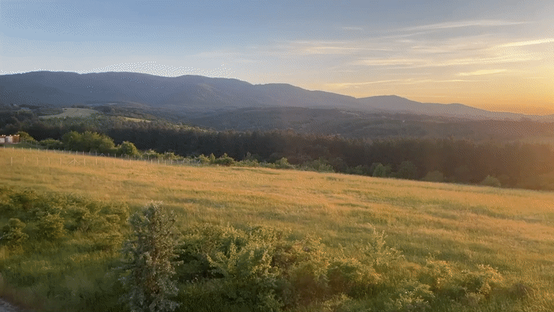 Evening sunset documented across Sofia from multiple viewpoints