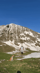 Person performs backflip in Montenegro mountain meadow with dog