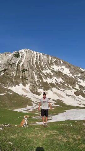 A full-body shot shows a person and dog in a mountain meadow under a bright blue sky. A mountain with patches of snow is in the background. The person, who is fair-skinned, wears a light-colored T-shirt and dark shorts. Their dark hair is pulled back into a bun. The dog, with brown and white fur, sits to the left of the person. The person goes through throwing motions and gestures with their hands. The terrain is green, grassy, and dotted with patches of snow. A small pond can be seen on the ground.