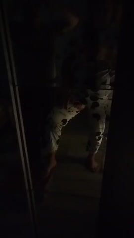 The video shows a family in what appears to be their home in Krasny Gulyai, Russia. The subjects are three people, two adults and one child, reflected in a mirror. They are all wearing pajamas. The adult on the right is wearing patterned pajama pants with black circles and a patterned top. The adult on the left is mostly obscured by darkness but appears to be wearing a darker top. The child, on the left, is wearing a yellow garment.

The activity taking place is a playful moment captured as a reflection in a mirror. The adults are posing and seemingly interacting with each other, possibly dancing or making funny faces for the camera. The child is also visible in the reflection, looking towards the mirror.

The scene is dimly lit, suggesting it is either nighttime or a very dark room. There are no clear indications of weather conditions. The setting appears to be indoors, likely a bedroom or living area, given the pajamas. The overall mood seems lighthearted and familial. No visible text is present in the video.