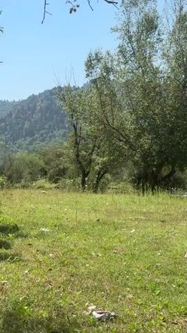 A video pans across a grassy clearing. In the foreground, a circular concrete structure with a hole in the center rests on the ground. Beyond the clearing, a shallow river flows, bordered by lush green trees and foliage. In the background, rolling hills covered in dense green trees rise under a clear blue sky. The camera movement is slow and smooth.