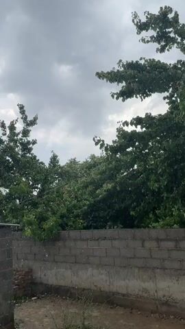 A brick wall runs horizontally across the bottom of the frame. To the left of the wall is a small patch of dirt with some dry grass. To the right of the dirt is a concrete structure with some exposed brickwork. Behind the wall is a dense thicket of green trees. The sky above is cloudy and overcast. A light rain appears to be falling, as evidenced by the small white speckles in the air.