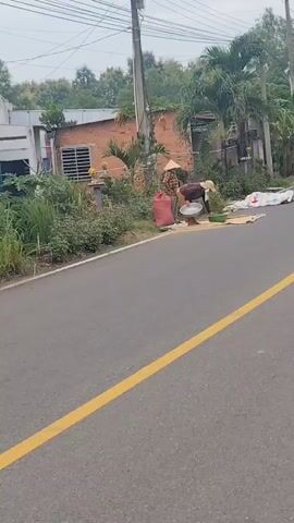 The video shows an outdoor scene next to a paved road with a yellow dividing line. In the background, there are buildings, some with brick walls and others with white facades, surrounded by vegetation including palm trees and bushes. A utility pole with wires stands near one of the buildings.

In the mid-ground, by the side of the road, two individuals are present. One person, wearing a conical hat and plaid shirt, stands near a large red sack. Another person, also wearing a conical hat and a darker shirt and pants, is bent over, engaged in an activity. This person is working with several objects on the ground, including a large metal bowl, a green plastic basin, and what appears to be dry goods, possibly grain or rice, spread out on a mat or tarp. A red plastic container is also visible. The action suggests a task involving sorting or processing the material. Several white plastic bags are also present on the ground to the right of the mat. The overall environment appears to be rural or semi-rural.