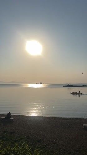 Peaceful morning harbor activity documented in Vladivostok
