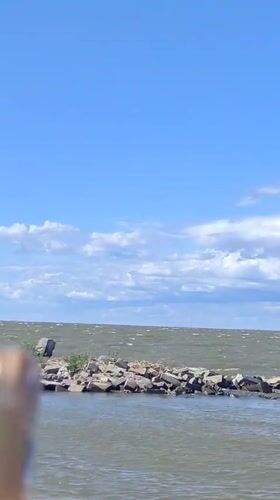 Out on the Gulf of Finland, Saint Petersburg skyline in the distance