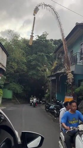 Morning roads through Ubud's tropical streets and jungle canopy