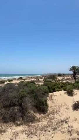 The video captures a scenic view of a beach from an elevated perspective, likely from a boardwalk or a viewing platform. The camera pans slowly from left to right, revealing the expansive sandy beach, the turquoise ocean with gentle waves, and a clear blue sky. In the foreground, there are sandy dunes covered with sparse green and brown vegetation. A wooden boardwalk with railings extends down towards the beach, leading to the water's edge. In the distance, several people can be seen enjoying the beach, some walking along the shore and others near the water. The overall scene depicts a calm and picturesque coastal landscape under bright daylight.