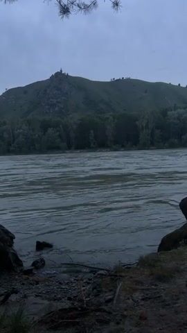 The video captures a tranquil natural scene. A wide river with greenish-blue water dominates the foreground and midground, its surface showing gentle ripples. On the far side of the river, a lush green hillside rises, dotted with trees and brush, and a more prominent, rocky peak is visible towards the left side of the frame. A few scattered trees are visible along the riverbank on the opposite side. The sky above is overcast and a pale gray. In the immediate foreground, a rocky and earthy bank slopes down towards the river, with some sparse green vegetation and exposed roots. A dark, out-of-focus branch from a tree hangs into the top of the frame. The video also contains ambient background music and occasional dialogue.