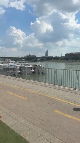 This video captures a scenic view of the Danube River in Budapest, Hungary. The scene is dominated by a wide, calm river reflecting the bright blue sky and fluffy white clouds. Along the riverbank, several white passenger boats are docked, suggesting a busy tourist area or a departure point for river cruises. A modern metal railing separates the river from a paved walkway. The walkway is marked with yellow lines, indicating a pedestrian path. Beyond the boats and across the river, the cityscape of Budapest is visible, featuring a mix of architectural styles, including a tall, modern skyscraper and older, grand buildings. A bridge spans the river in the distance, further emphasizing the urban setting. A bright red fire hydrant stands prominently on the walkway in the foreground, adding a splash of color to the scene.

The time of day appears to be midday, given the strong sunlight casting shadows. The weather is pleasant, with a clear sky dotted with cumulus clouds, indicating fair weather. The overall atmosphere is peaceful and inviting, evoking a sense of calm and relaxation often associated with riverside promenades. There is no visible text in the video.