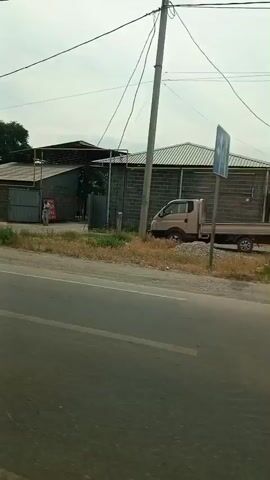 A video captures a drive-by perspective of a roadside scene. The camera pans from left to right, showing a silver sedan parked on the left side of the road, facing away from the camera. Beyond the car, a building with a dark, corrugated roof and metal gates is visible. A person in light-colored clothing stands near the entrance of the building. The road appears to be paved, with a grassy shoulder bordering it. Trees line the opposite side of the road, some with their trunks painted white. Utility poles with wires stretch across the frame. The sky is overcast.