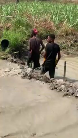 Two people are in a muddy body of water, likely a stream or pond. One person, wearing a dark shirt and pants, is emptying a yellow bucket into the water. The other person, wearing a similar outfit with a pink head covering, is emptying a black bucket. They are standing on a muddy bank or edge, with tall grass and other vegetation visible in the background. The water appears murky and shallow. There is a black cylindrical object, possibly a pipe, lying on the bank.