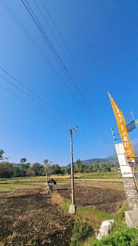 This is a vertical video shot outdoors on a sunny day. The camera pans slightly to the right, showing a rural landscape. In the foreground, dry, harvested rice fields are visible on the left side of the frame. On the right, a road leads into the distance. An archway stands over the road, with a yellow and blue flag on a pole to the left of the arch. The archway has yellow lettering that reads "SELAMAT DATANG DI DESA SUKOLELO" which translates to "WELCOME TO SUKOLELO VILLAGE". Power lines crisscross the sky, supported by a utility pole on the left. In the background, hills and mountains are visible under a clear blue sky. There are no people or animals visible in the frame. The overall impression is of a scenic, agricultural area.