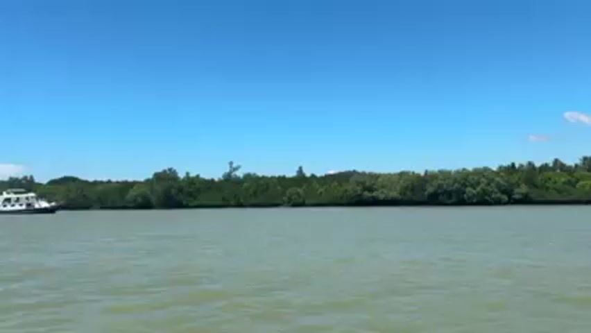 The video shows a wide river with a small white ferry on the left side of the frame. The water is a murky greenish-brown, reflecting the bright sunlight. The opposite bank of the river is densely covered in green trees and foliage. The sky is a clear, bright blue. The camera appears to be onboard a boat, gently rocking with the waves. The view is stable, with only minor movements due to the water.