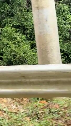 The video shows a first-person perspective from inside a moving vehicle. Initially, a metal guardrail fills the lower half of the frame, with blurred green foliage in the background. The camera then pans to reveal a steep, heavily vegetated hillside covered with numerous trees and green plants under a sky with white clouds and blue patches. Utility lines and poles are visible above the treeline. As the vehicle continues to move, a white house with a dark roof and a large water tank on a metal stand appears on the left, positioned on a concrete surface. The car's side mirror is visible in the lower-left corner of the frame, reflecting a portion of the vehicle's interior.
