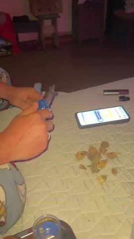 The video shows a close-up view of a person's hands working on a small object. The person is wearing blue and white patterned pajama pants. In their left hand, they hold a small, light-colored object, possibly a nut or a seed, which they are manipulating with a blue-handled tool that appears to be a knife or a small pliers. The right hand is holding the blue-handled tool, and the person is applying pressure to the object.

In the background, on a white quilted surface that resembles a bedspread, there are several other similar objects, some of which appear to have been opened or processed. A smartphone is also visible on the surface, displaying a colorful screen with what looks like a game or app. To the right of the phone, there is a black object that could be a vape pen or a similar electronic device.

The environment appears to be indoors, possibly a bedroom, with dim lighting and furniture visible in the blurred background. The overall scene suggests a person engaged in a task, possibly preparing food or working on a craft, with entertainment or a digital tool nearby.