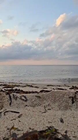 This video is a low-angle shot of a beach. In the foreground, there is sand with pieces of seaweed scattered on it. The middle ground shows a gentle wave approaching the shore. The background consists of the calm ocean and a cloudy sky with a hint of pink and orange from the sunrise or sunset. The shot is still and peaceful.