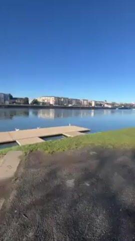The video shows a waterfront scene on a clear day. A concrete boat launch with algae growth leads into a river or channel. A floating wooden dock is further out in the water with several white birds perched on it. Across the water, there are apartment buildings or similar structures. The sky is clear blue. There are some boats and other watercraft visible further down the river.  The camera slowly pans to the left.