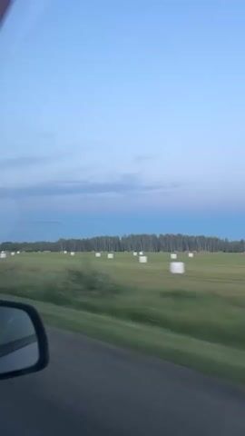 The video is a first-person perspective shot from inside a moving vehicle. The viewer is looking out the passenger side window at a rural landscape. The sky is a pale blue with a few wispy clouds, transitioning to a deeper blue towards the horizon. Below the sky is a long, dense line of trees. In front of the trees, a green field stretches across the frame, dotted with numerous white, cylindrical hay bales. The field appears to be either a pasture or a harvested crop. The road the vehicle is traveling on is visible in the foreground, a dark gray surface. A portion of the vehicle's side mirror is visible in the bottom left corner of the frame, indicating the direction of travel. The overall impression is a scenic drive through a countryside at either dawn or dusk.