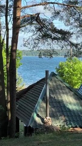 The video presents a view of a lake through a natural frame of trees, with the roof of a building featuring prominently in the foreground. The trees, including pines with visible trunks and branches, flank the sides of the shot, partially obscuring the view. The building's roof is tiled with dark green shingles and has a metal chimney. Beyond the building and trees, a wide expanse of blue water stretches to the horizon. On the opposite shore, a strip of green forest is visible. The sky is partially obscured by branches. The setting appears to be a rural lakeside location on a partly cloudy day.