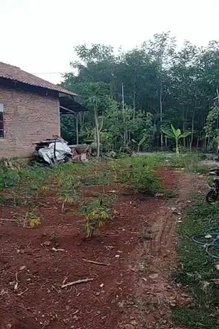 The video shows a rural scene with a brick house on the left. In front of the house, there is a garden with rows of young plants. Beyond the garden, there are trees and vegetation. A dirt path leads through the scene. The lighting suggests it is daytime, possibly early morning or late afternoon. There are no people or animals visible in the frame. The environment appears to be a farm or a backyard area.