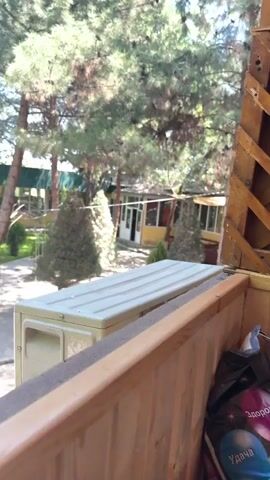 The camera pans across a small outdoor area from an elevated position. The view is partially obstructed by a cream-colored air conditioning unit and a wooden railing in the foreground. Beyond the railing is a murky pond surrounded by a low metal fence, various trees, and greenery. In the background, there is a low building with a green-covered patio area where people appear to be seated at tables. The sky is visible through the trees, and music plays throughout the video.