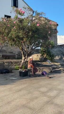 The video captures a street performance with a woman playing a cello outdoors on a paved area next to a stone building and a tree with pink flowers. She is seated on a stool, dressed in casual clothing, and has a music stand in front of her. A small purple object, possibly a bag or cushion, lies on the ground near the cello. A black case and a black bin are also visible. The background shows a stone wall, a rocky incline, and further buildings. The final scene expands to show a waterfront area with tables and chairs, a body of water, and a distant shoreline with buildings. The sky is blue with some clouds, and the lighting suggests it is daytime.